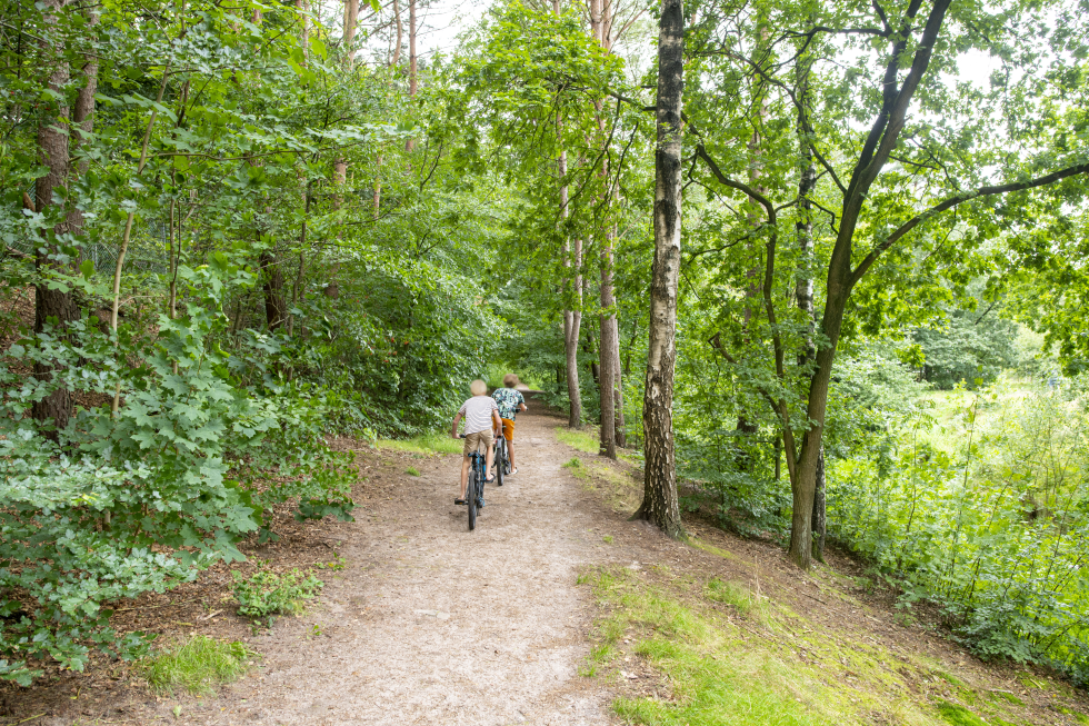 Foto van het sanatoriumbos met twee jongetjes die op het pad fietsen
