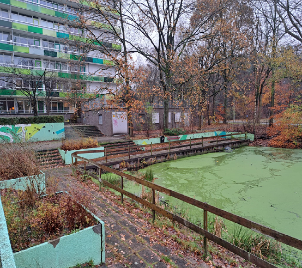 De vijver in Vollenhove met op de achtergrond de L-flat
