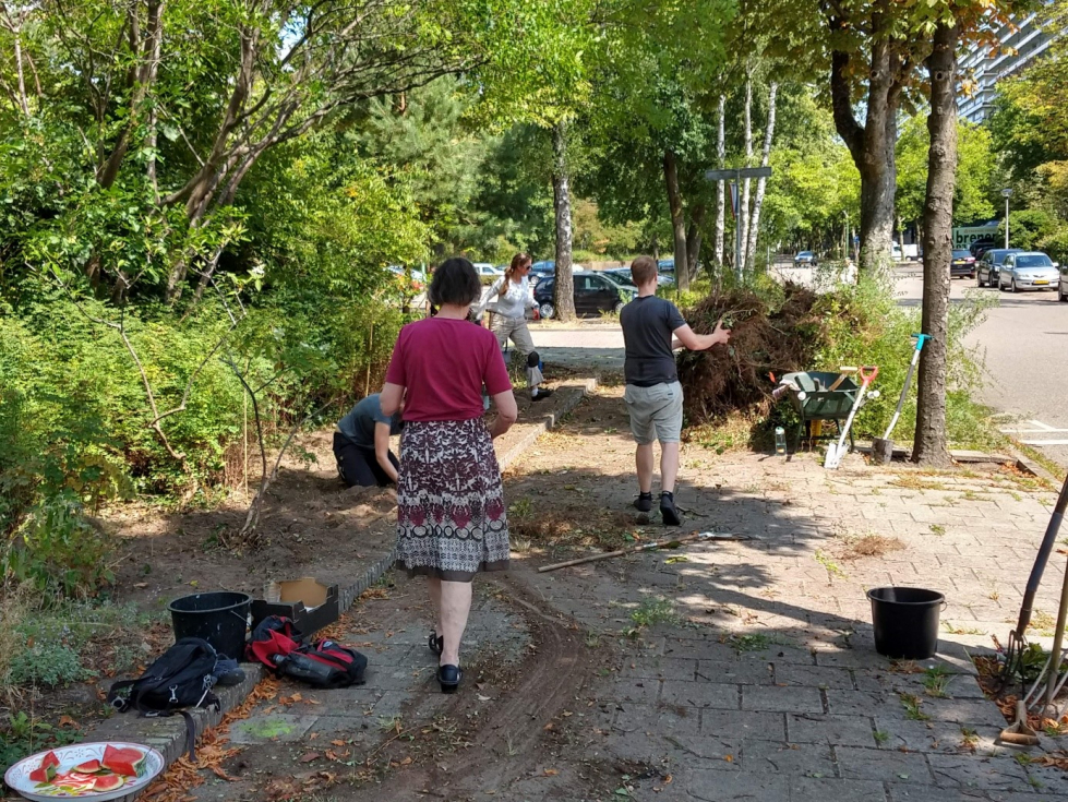 Vier mensen aan het werk op de plek waar de heuvelrugtuin komt. Er worden struiken weggehaald om ruimte te maken voor de heuvelrugtuin.