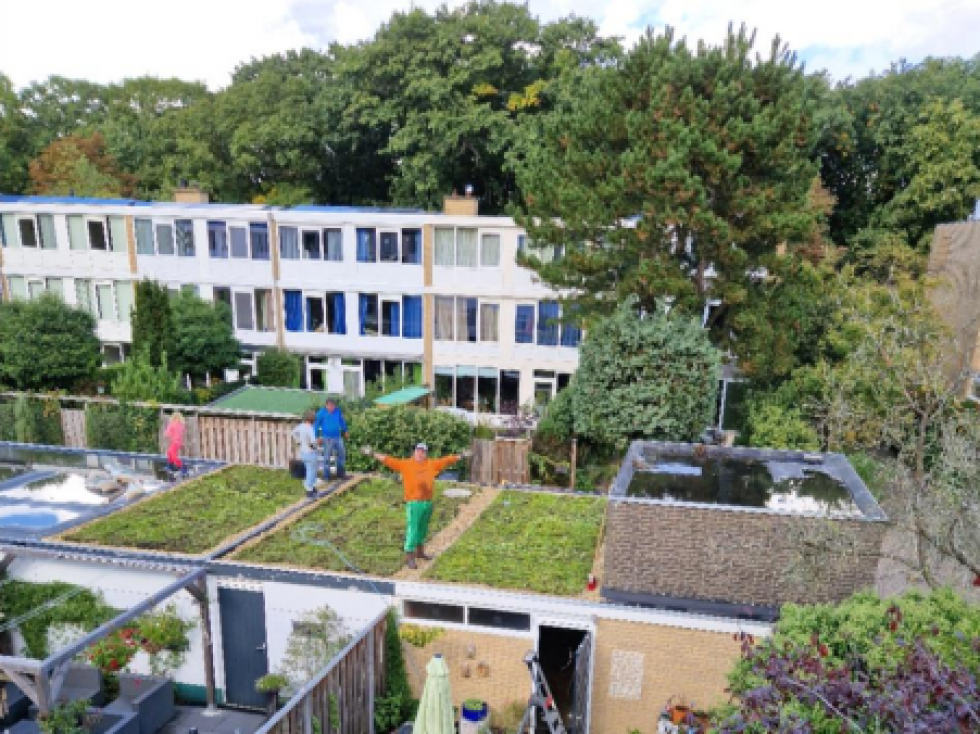 Vier bewoners boven op de nieuw aangelegde sedumdaken. Een bewoner spreidt zijn armen en kijkt richting de camera.
