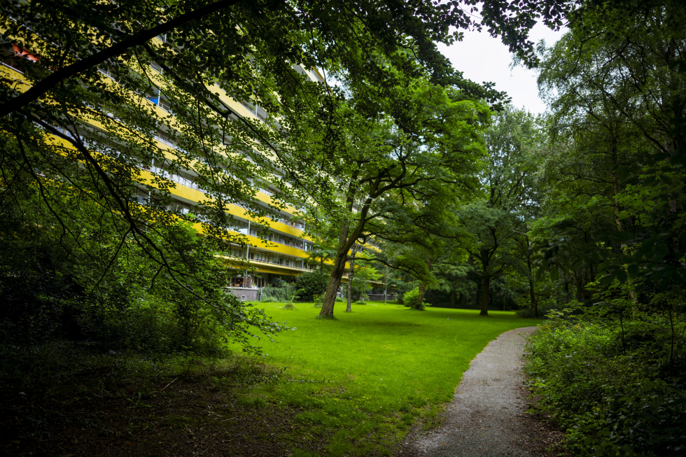 Park Vollenhove naast de Gero flat