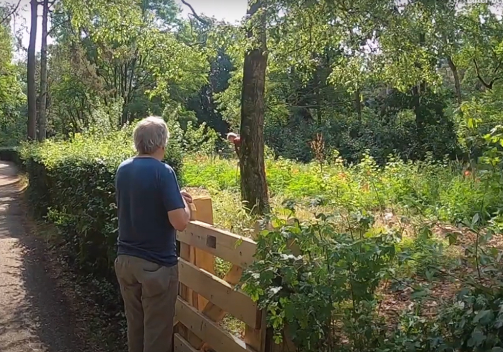 De voedselbosrand, een plek waar de duurzame wandeling langs gaat. Op de foto staat Bert bij de Voedselbosrand.