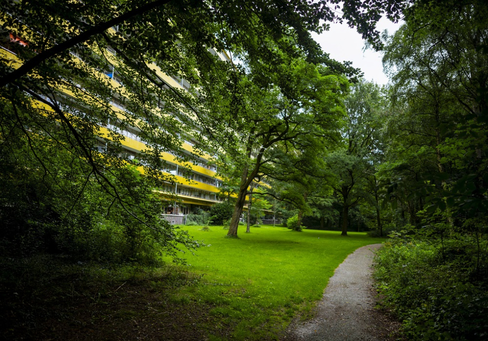 Paadje naar Park Vollenhove met op de achtergrond de Geroflat. 