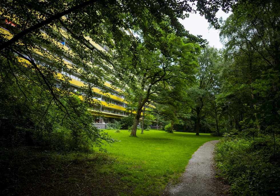 Paadje naar Park Vollenhove met op de achtergrond de Geroflat. 