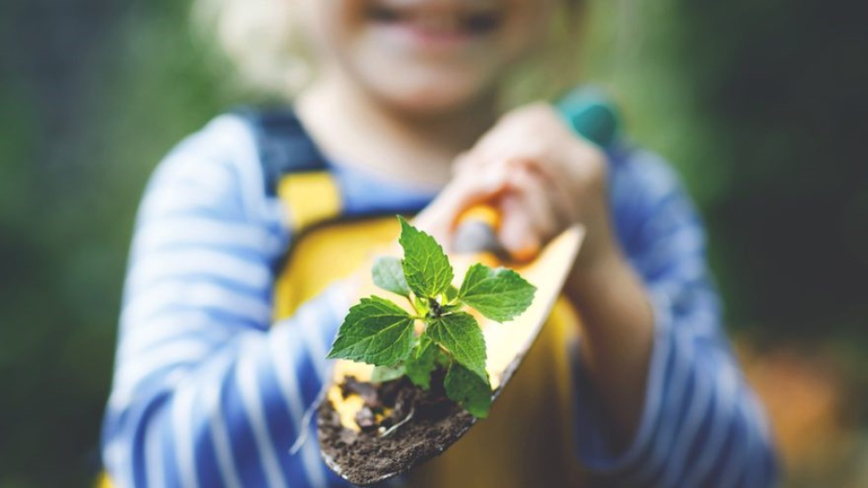 Een kind houdt een schep vast waar wat aarde en een klein plantje op ligt