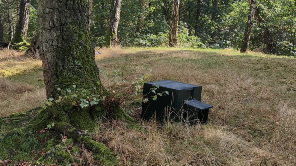 Een foto van een egelhuisje in het park