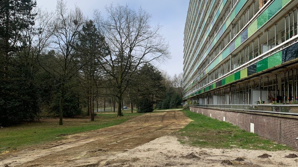 Grasveld achter de L-flat